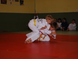 Bilder aus 2010 oder früher
